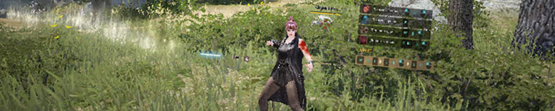 Black Desert Online - game server Client Games